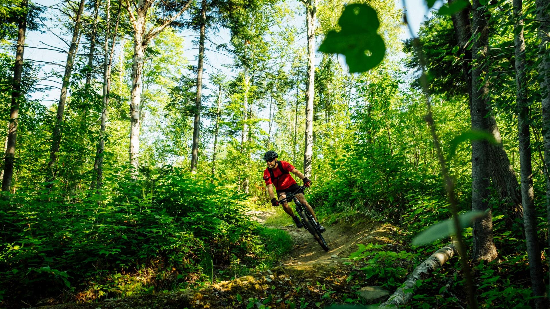 Sentiers Madawaska Mountain Bike Trails Edmundston / #CanadaDo / Best Things to Do in Edmundston