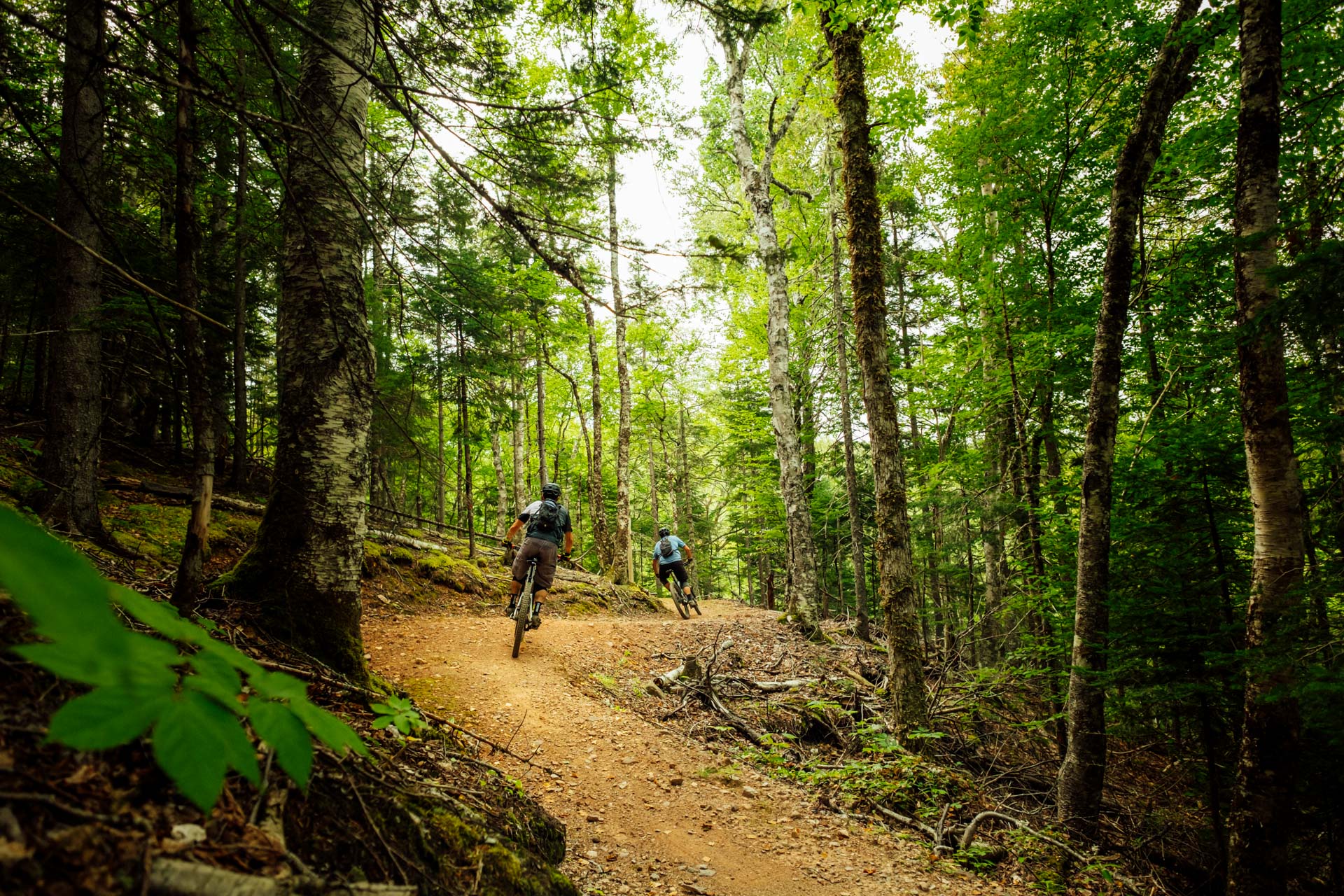 Exploring Atlantic Canada’s Mountain Biking Trails – Mountain Bike Atlantic