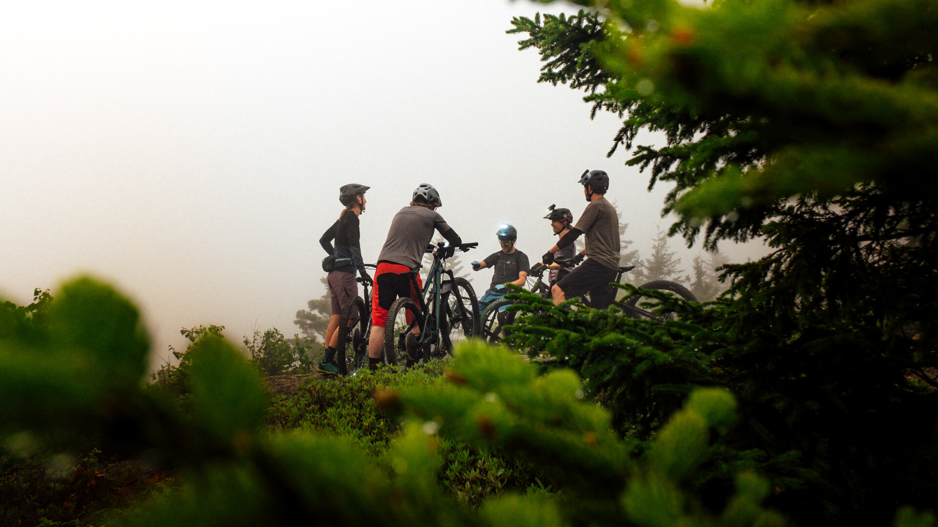 The team discussing the next trail to explore in Rockwood Park under a blanket of fog.