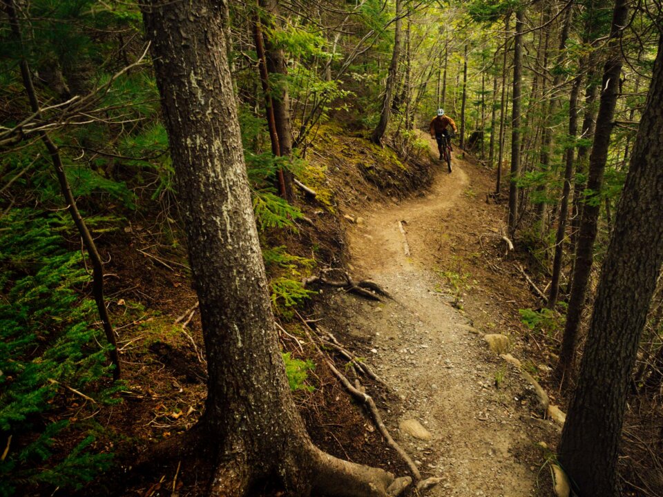 Ginger Route trail, Corner Brook