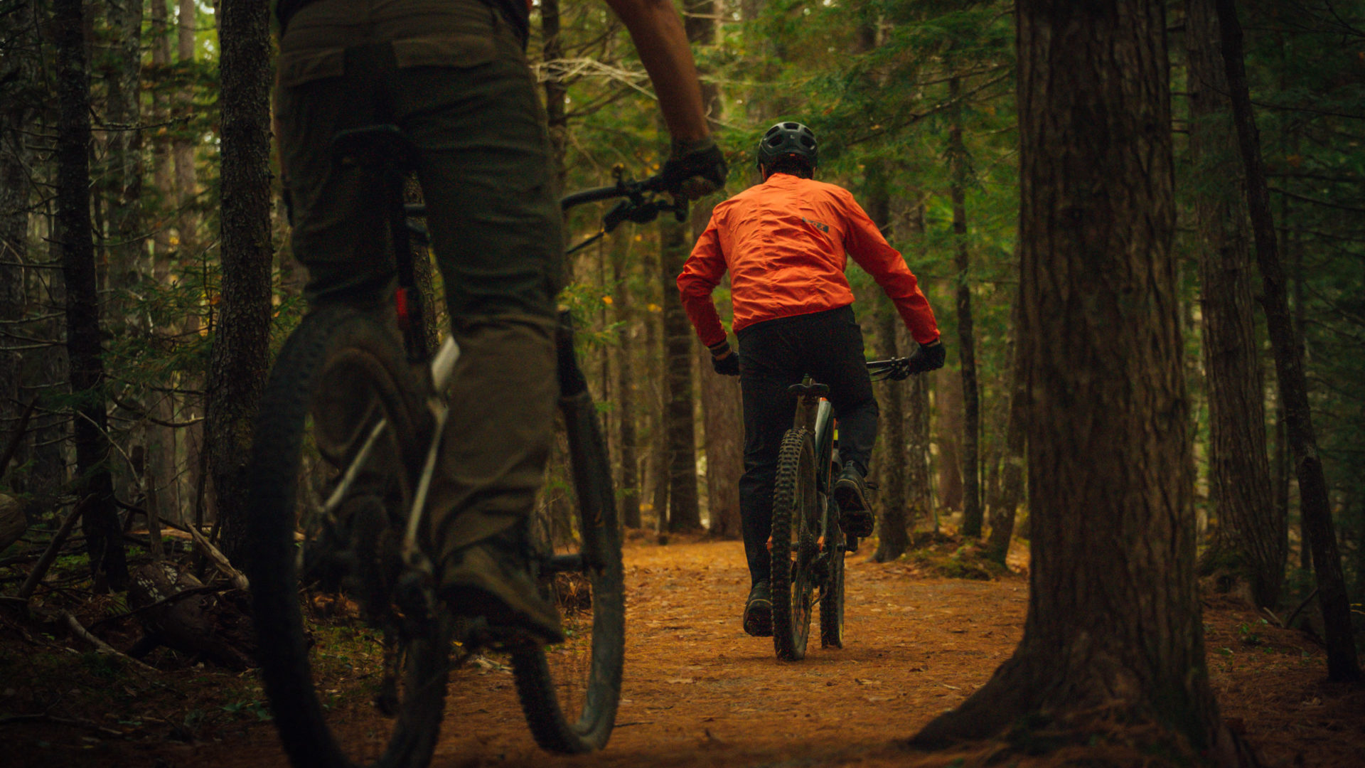 River Ridge Common Mountain Bike Trails in New Germany, NS