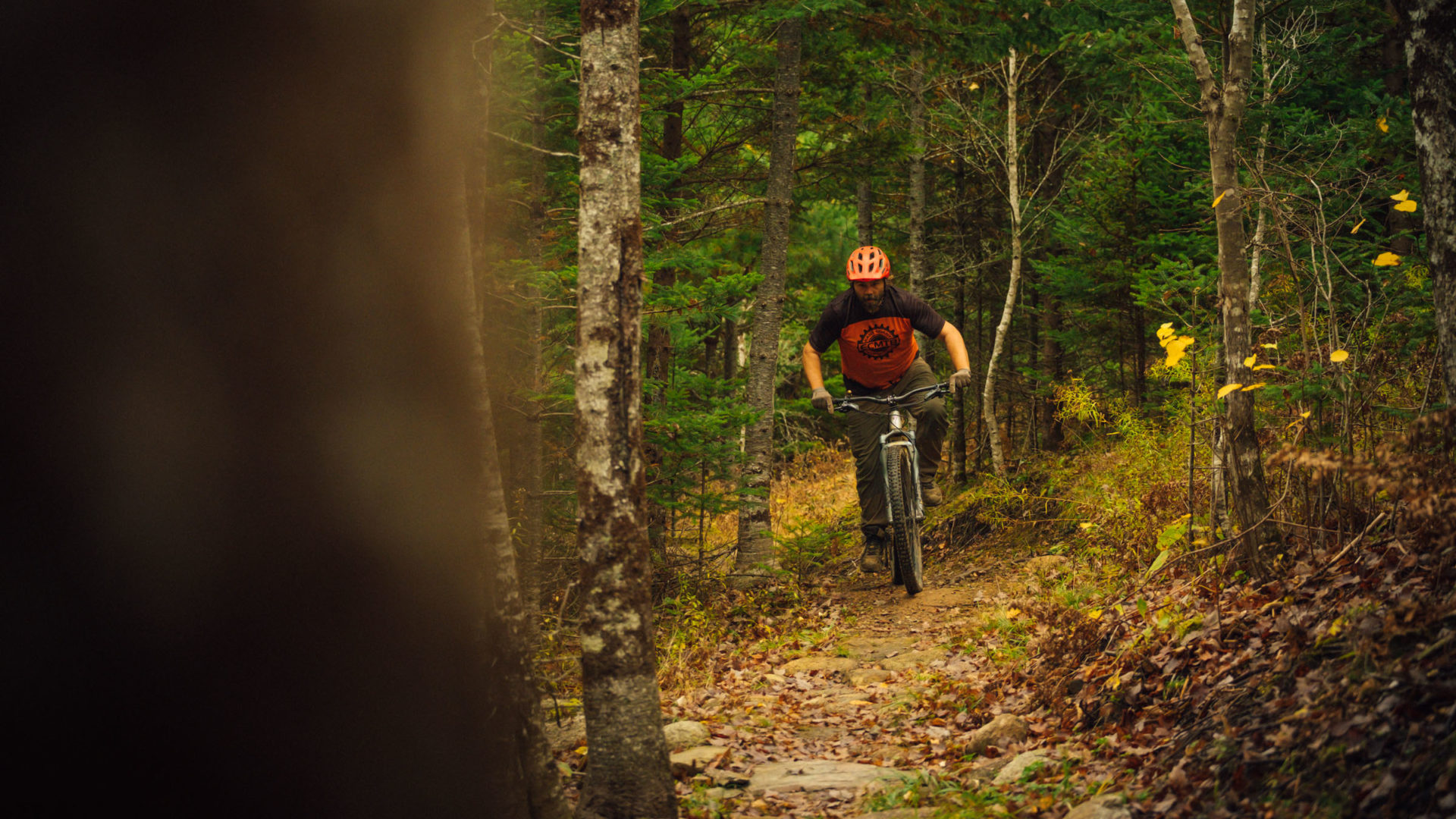 River Ridge Common Mountain Bike Trails in New Germany, NS