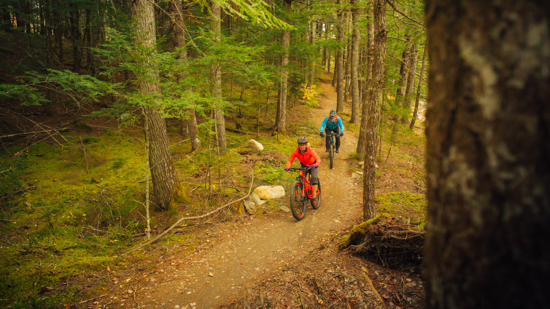 Sentiers de vélo de montagne du parc national Kejimkujik, Nouvelle-Écosse